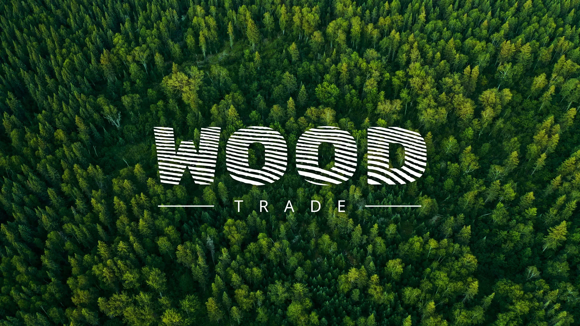 Разработка интернет-магазина компании «Wood Trade» в Сычёвке